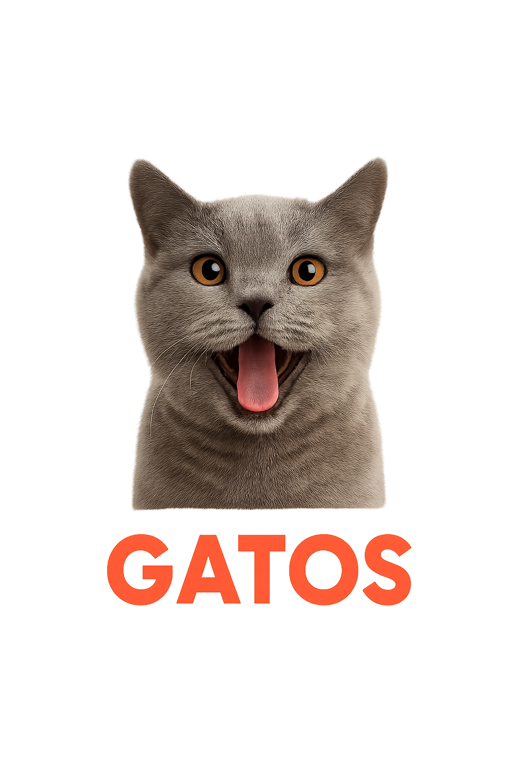 Gatos