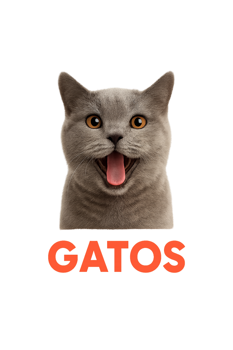 Gatos