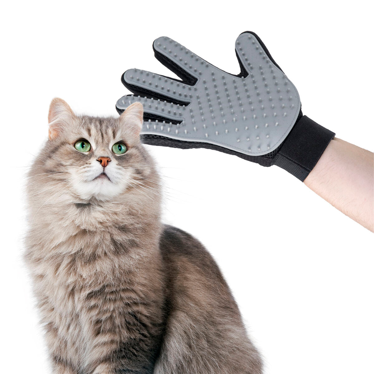 Pet Brush & Massage Glove Relpet InnovaGoods-4